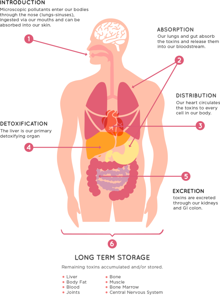 Health Focus: Chronic Illnesses, Inflammation, Digestive Health - S.I.E ...