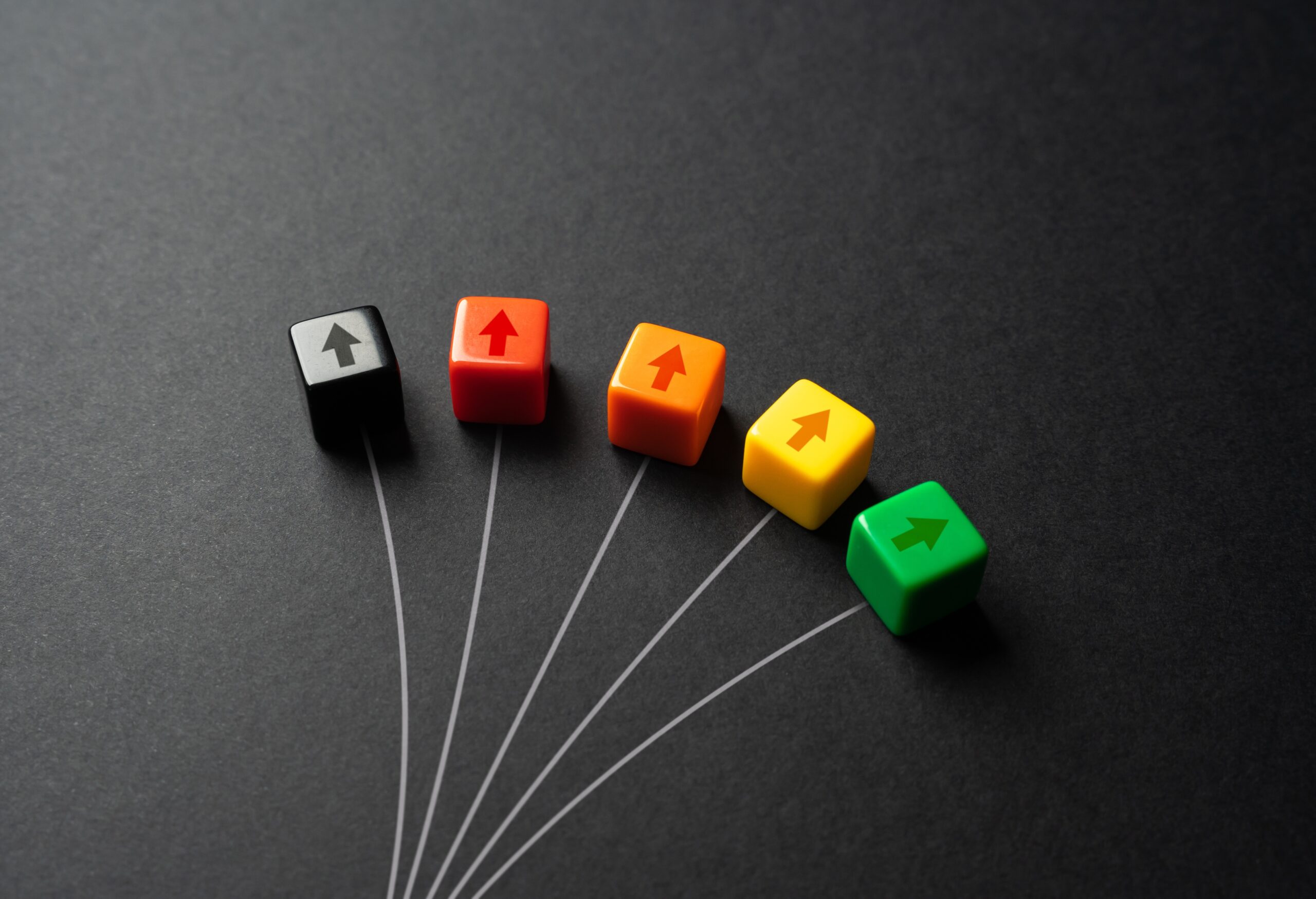 At the crossroads of path option