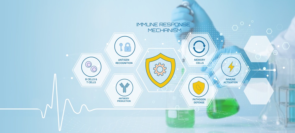 Immune system memory cells triggering a secondary immune response